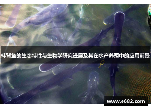 蚌背鱼的生态特性与生物学研究进展及其在水产养殖中的应用前景